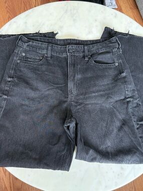 American Eagle Strigid High Rise, Wide Leg